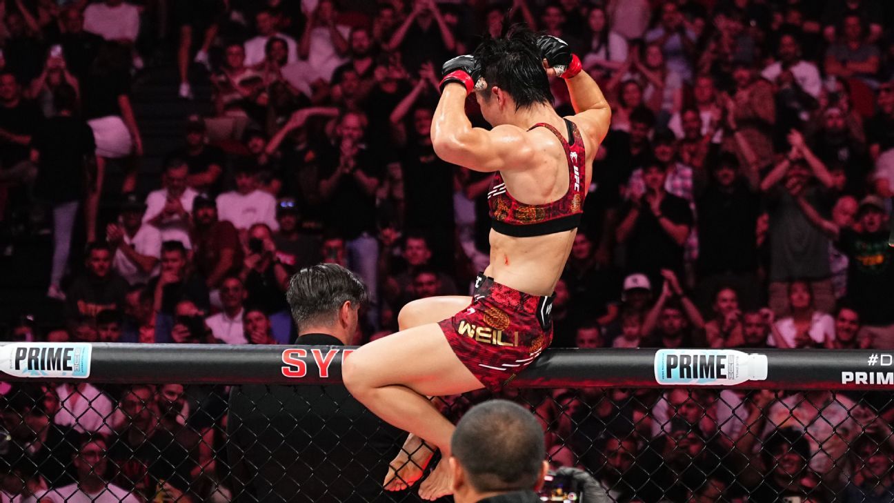 效力期间 效力期间