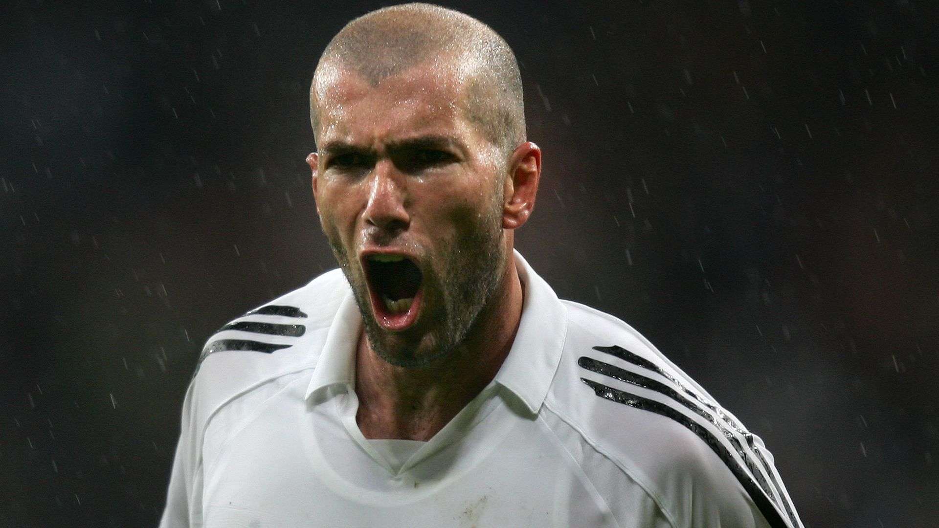 对比分析 对比分析